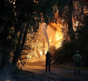 Μαίνεται η πυρκαγιά στην περιοχή της Βαρυμπόμπης - Κάηκαν σπίτια, εκκενώθηκαν Θρακομακεδόνες & Ολυμπιακό Χωριό - Οι φλόγες στρέφονται προς το Τατόι 