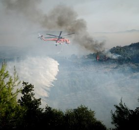 Μαραθώνας: Η φωτιά κυκλώνει τη λίμνη - Σε λειτουργία η τηλεφωνική υπηρεσία 1110 για πολίτες με αναπνευστικά προβλήματα