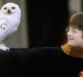 Ο Χάρι Πότερ πουλάει τον «Harry Potter»: Άνδρας με το ίδιο όνομα βάζει σε δημοπρασία σπάνια, πρώτη έκδοση του βιβλίου - μήπως την έχετε & εσείς;