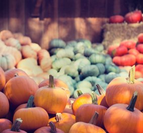 Κολοκύθα - η τροφή του Φθινοπώρου: Τα Διατροφικά της οφέλη & πως να την εντάξουμε στο διαιτολόγιό μας 