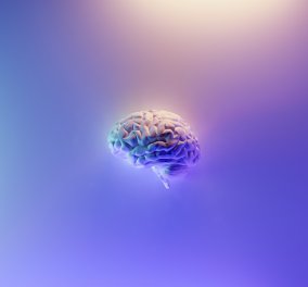 Απίστευτη ανακάλυψη: Επιστήμονες ανανέωσαν το γερασμένο εγκέφαλο και τη μνήμη πειραματόζωων 