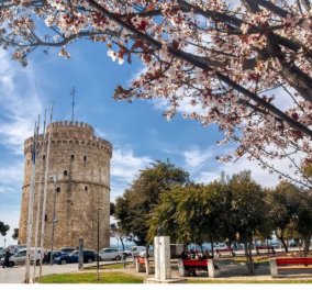 Σοκ στη Θεσσαλονίκη: Mακάβριο εύρημα - Βρέθηκε ακέφαλο πτώμα χωρίς πόδια στο Καλοχώρι