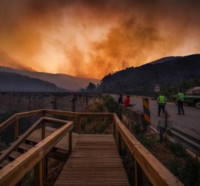 WWF: «Η Μεσόγειος φλέγεται!» - Μεγάλες πυρκαγιές σε Γαλλία, Ισπανία, Πορτογαλία - ο χάρτης με τα πύρινα μέτωπα