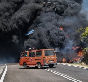 Πυρκαγιές: Μήνυμα 112 για απομάκρυνση των κατοίκων του χωριού Δαδιά - -Δύσκολη η κατάσταση και σε Λέσβο, Ηλεία (βίντεο)