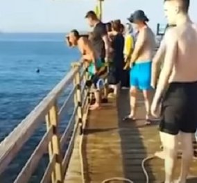 Βίντεο - σοκ από θέρετρο της Αιγύπτου: Καρχαρίας κατασπάραξε τουρίστρια - η 68χρονη βγήκε από το νερό & πέθανε στο ασθενοφόρο