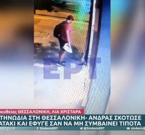Αδιανόητη κτηνωδία στη Θεσσαλονίκη: Άνδρας πάτησε νεογέννητο γατάκι μέχρι θανάτου - Σοκάρει το βίντεο
