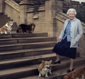 Ποιος είναι ο «κληρονόμος» των αγαπημένων σκυλιών της βασίλισσας; Τα κόργκι θα αλλάξουν σπίτι, αλλά όχι οικογένεια 