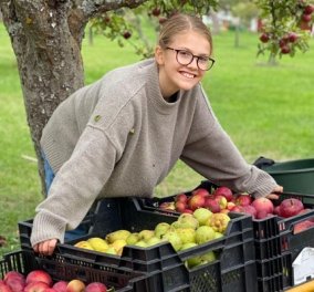 Τα πριγκιπόπουλα της Σουηδίας μαζεύουν φρούτα: Πάνω στο δέντρο η 10χρονη Εστέλ - την βοηθά από κάτω ο 6χρονος Όσκαρ (φωτό)