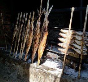 Ψάρι στα κάρβουνα! Το πρώτο μαγείρεμα στη φωτιά πριν από 780.000 χρόνια