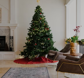 Ο Σπύρος Σούλης μας συμβουλεύει: 4 Tips για να διαλέξετε το τέλειο χριστουγεννιάτικο δέντρο για το σπίτι σας!