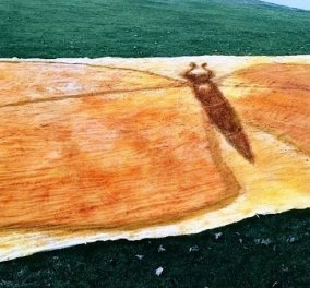 Παγκόσμιο ρεκόρ Γκίνες: Ο μεγαλύτερος πίνακας ζωγραφικής από μπαχαρικά - μία πεταλούδα που καλύπτει 84 τ.μ (φωτό)