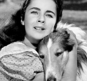 Elizabeth Taylor: Lassie come home - Αυτή ήταν η πρώτη ταινία που έπαιξε η διάσημη κακομαθημένη ηθοποιός μόλις 11 ετών - Δείτε το ιστορικό! 
