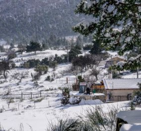 Κακοκαιρία Μπάρμπαρα: Παγετός με χιόνια και χιονόνερο - Ποιες περιοχές θα επηρεαστούν; 