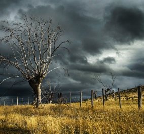 Σάκης Αρναούτογλου - Κακοκαιρία:  ''Προσοχή στους πολύ ισχυρούς ανέμους - Δεν παρκάρουμε κάτω από μεγάλα δέντρα'' 
