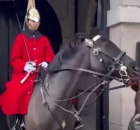 Μ. Βρετανία: Άλογο της βασιλικής φρουράς «έπιασε» τουρίστρια από την κοτσίδα - Viral το βίντεο