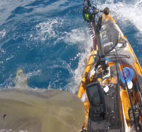 Συγκλονιστικό βίντεο: Καρχαρίας δαγκώνει καγιάκ και προσπαθεί να το αναποδογυρίσει - Σε σοκ ο κωπηλάτης, δείτε το