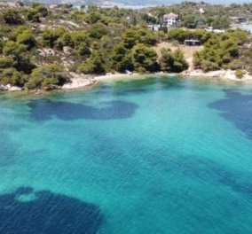 Διάπορος Χαλκιδικής: Το νησί με τα μονίμως ζεστά, διάφανα, τιρκουάζ νερά (βίντεο)