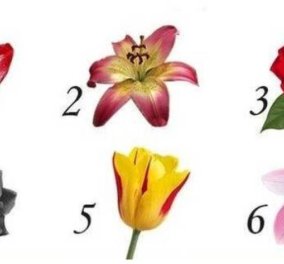 Τεστ προσωπικότητας: Μάθε τι σημαίνει το κάθε λουλούδι για την προσωπικότητα σου - Διάλεξε ένα & δες τα μυστικά!