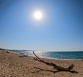 Καιρός: Ηλιοφάνεια & μελτέμια στο Αιγαίο - Στους 34 - 36 βαθμούς Κελσίου η θερμοκρασία (βίντεο)