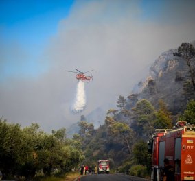 Πυρκαγιές σε Κάρυστο, Κέρκυρα, Αίγιο: Οι εξελίξεις στα πύρινα μέτωπα, οι φλόγες ξεπερνούν τα 20 μέτρα - Κόλαση για 7η μέρα στη Ρόδο (βίντεο)