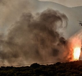 Φωτιές σε Αττική και Ρόδο: Μεγάλη αναζωπύρωση στα Μέγαρα, απειλούνται σπίτια - Στο νησί των ιπποτών καίει συμπαγές δάσος (βίντεο)