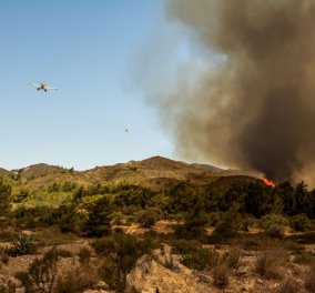 Συνεχίζεται για 9η μέρα η φωτιά στη Ρόδο, αναζωπυρώσεις σε Κέρκυρα - Μικρές εστίες σε Κάρυστο και Δερβενάκια (βίντεο)