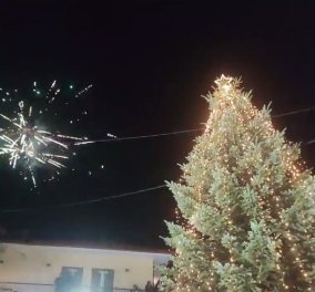 Χαλκιδική: Άναψε το πρώτο χριστουγεννιάτικο δέντρο για το 2023 - Δείτε το βίντεο | in.gr