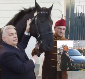 Όρμπαν και Ερντογάν, αντάλλαξαν... άλογα! Καθαρόαιμο σε μαύρο χρώμα από τον Ούγγρο Πρωθυπουργό, 100... ηλεκτρικά από τον Τούρκο Πρόεδρο (βίντεο)
