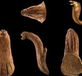 Το κεφάλι της Κόμπρα: Το 4.400 ετών χειροποίητο αντικείμενο σε σχήμα φιδιού - Τα σκοτεινά μυστικά, οι αρχαίες τελετές (βίντεο) - Κυρίως Φωτογραφία - Gallery - Video