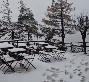 Δείτε βίντεο με το χιόνι να πέφτει στην Πάρνηθα - Κλειστός ο δρόμος από το καζίνο και πάνω - Κυρίως Φωτογραφία - Gallery - Video