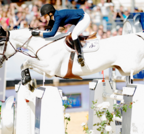 Story: Η Αθηνά Ωνάση επέστρεψε με νέο άλογο μετά το ατύχημα: Το συγκινητικό "αντίο" στην Camille που πέθανε!