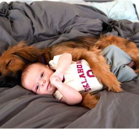 Το βίντεο της ημέρας: Ενας σκύλος...babysitter! Πώς ένα συμπαθέστατο τετράποδο μπορεί να φροντίζει ένα μωρό!