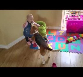 Τι συμβαίνει όταν σκύλος προσπαθεί να κάνει παζάρια για ένα παιχνίδι με ένα... κοριτσάκι; Δείτε το βίντεο & ανακαλύψτε το!