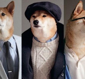 Μαθήματα μόδας από σκύλο ντυμένο σαν genteleman με στυλ & ύφος ανάλογο 