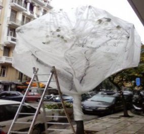 «Έντυσαν» τα δέντρα  και άπλωσαν την μπουγάδα τους στο κέντρο της  Θεσσαλονίκης οι φοιτητές της Σχολής Καλών Τεχνών !