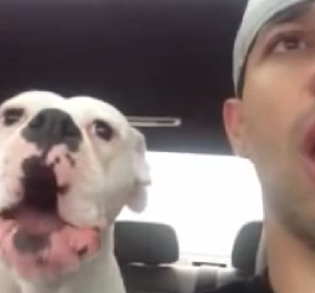 Μια συνομιλία για πολλά γέλια: Σκύλος ''κουβεντιάζει'' με το αφεντικό του & του παραπονιέται που έφυγαν από το πάρκο! (Βίντεο)