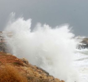 Απαγορευτικό για τα ιπτάμενα δελφίνια στον Αργοσαρωνικό - Κυρίως Φωτογραφία - Gallery - Video