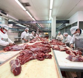Συναγερμός σε όλη την Ευρώπη για το κρέας αλόγου