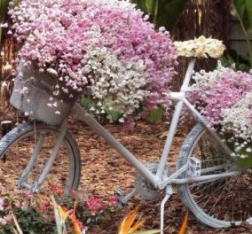 Μέχρι και τα ποδήλατα άνθισαν στην Κρήτη!! Αρκαλοχώρι με αρώματα και χρώματα της άνοιξης (φωτό) - Κυρίως Φωτογραφία - Gallery - Video