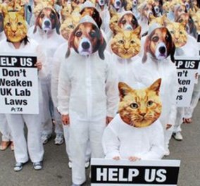 Σήμερα η παγκόσμια ημέρα για την κατάργηση των πειραμάτων σε ζώα! (φωτό) - Κυρίως Φωτογραφία - Gallery - Video