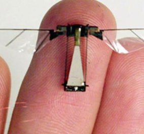 Ιπτάμενο ρομπότ σε μέγεθος μύγας, μόλις ένα εκατοστό, από επιστήμονες του Χάρβαρντ  - Κυρίως Φωτογραφία - Gallery - Video