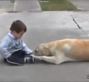 Βίντεο της ημέρας: Το συγκινητικό βίντεο ενός παιδιού με σύνδρομο Down και ενός σκύλου - Κυρίως Φωτογραφία - Gallery - Video