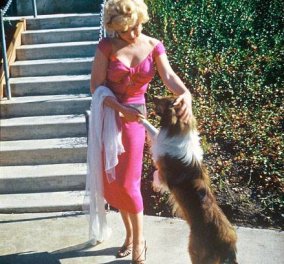 Φωτογραφία ρετρό της ημέρας: Όταν η Μέριλυν συνάντησε την Lassie - Κυρίως Φωτογραφία - Gallery - Video