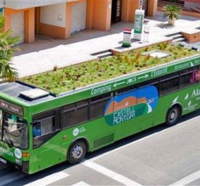 Εκπληκτικό: Αρωματικά φυτά & βότανα στην πρώτη «πράσινη» στέγη σε λεωφορείο ! (φωτό & βίντεο) - Κυρίως Φωτογραφία - Gallery - Video