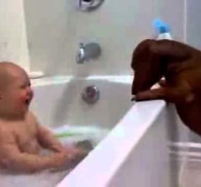Το μωράκι σας και τα σκυλάκια σας στην μπανιέρα δυο-δυο! Bίντεο ξεκαρδιστικό για όλη την οικογένεια  - Κυρίως Φωτογραφία - Gallery - Video