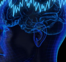 Ιδού το «Wi-Fi» για ανθρώπινους εγκεφάλους -μια μοναδική επιστημονική ανακάλυψη  - Κυρίως Φωτογραφία - Gallery - Video