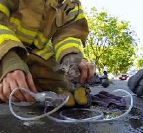 Συγκινητικό βίντεο! Πυροσβέστης επαναφέρει στη ζωή γατάκι από σπίτι που κάηκε! (βίντεο) - Κυρίως Φωτογραφία - Gallery - Video