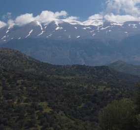 Good News: Πως ο Ψηλορείτης ενώνει τους Αυστραλούς με τους Κρήτες - Ύμνοι από την ''The Weekend Australian'' για την απαράμιλλη ελληνική και δη κρητική φιλοξενία! - Κυρίως Φωτογραφία - Gallery - Video