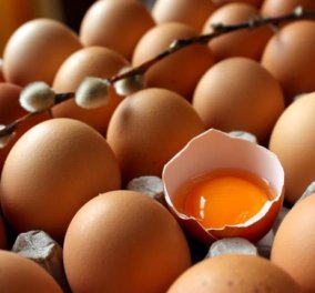 Απίθανο! Δείτε τι θα γίνει αν σπάσεις ένα αυγό στο βυθό της θάλασσας; Παγκόσμια ημέρα του θρεπτικότατου αυγού σήμερα - Αφιέρωμα από το Eirinika! (φωτό - βίντεο)‏ - Κυρίως Φωτογραφία - Gallery - Video