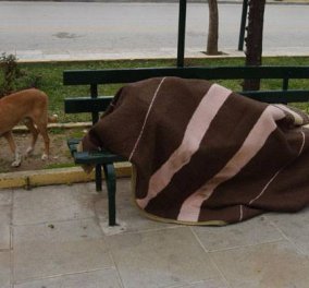 Επιτέλους... γίναμε ξανά πλούσιοι - αν μείνουμε στα παγκάκια μόνο είμαστε φτωχοί - Το ''πικρό'' άρθρο του Γιώργου Κράλογλου!‏ - Κυρίως Φωτογραφία - Gallery - Video